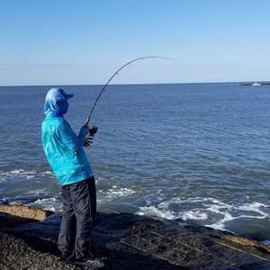 Meet your Posher, Tín